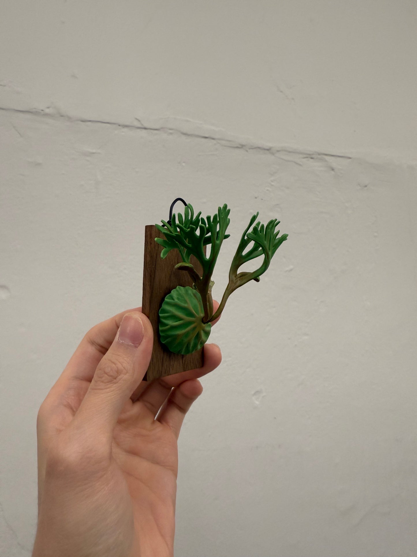 Handmade Clay Staghorn Fern Art Hanging