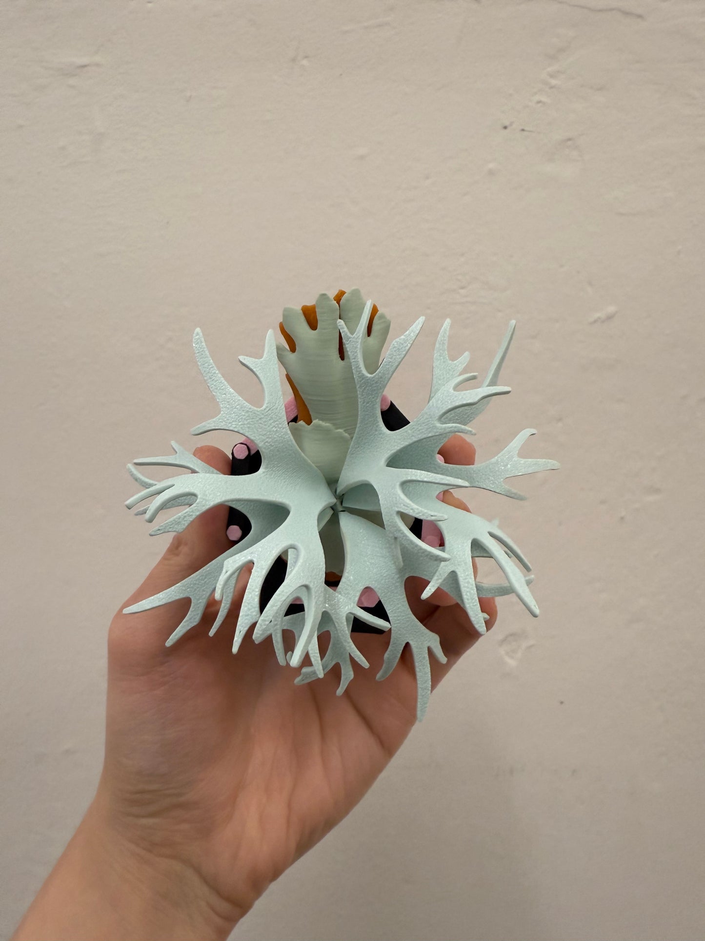 Mini Staghorn Fern Model GT04
