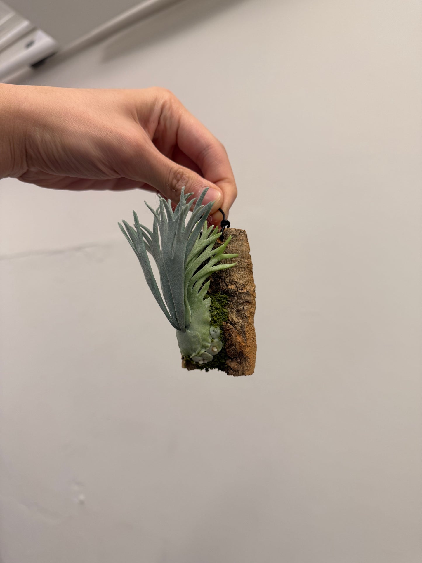 Handmade Clay Staghorn Fern Art Hanging