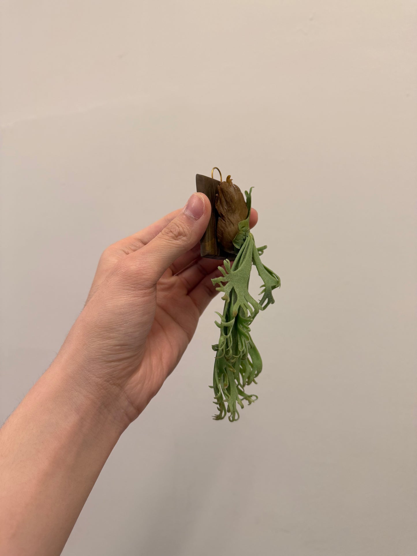 Handmade Clay Staghorn Fern Art Hanging