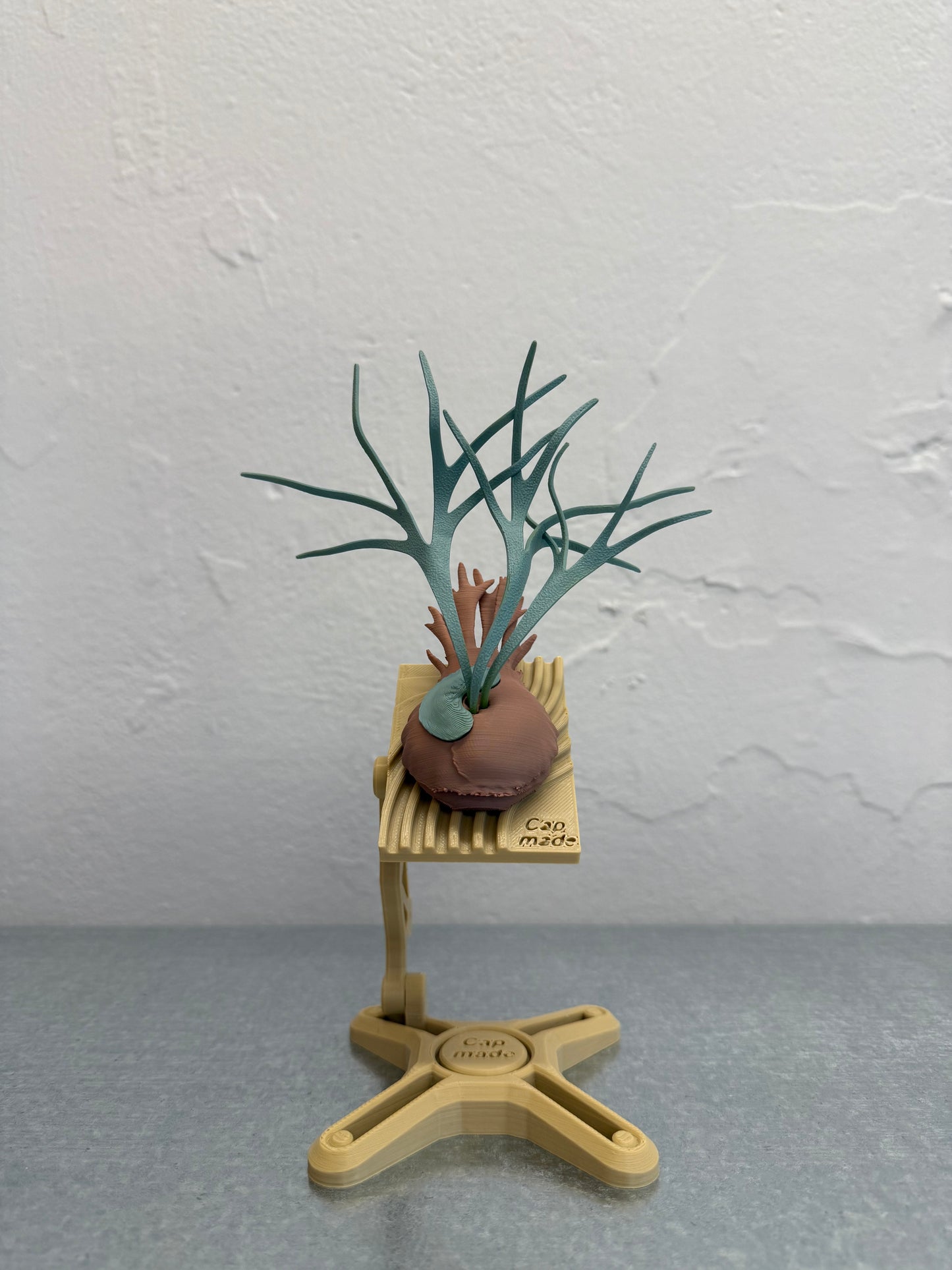 Mini Staghorn Fern Model GT02