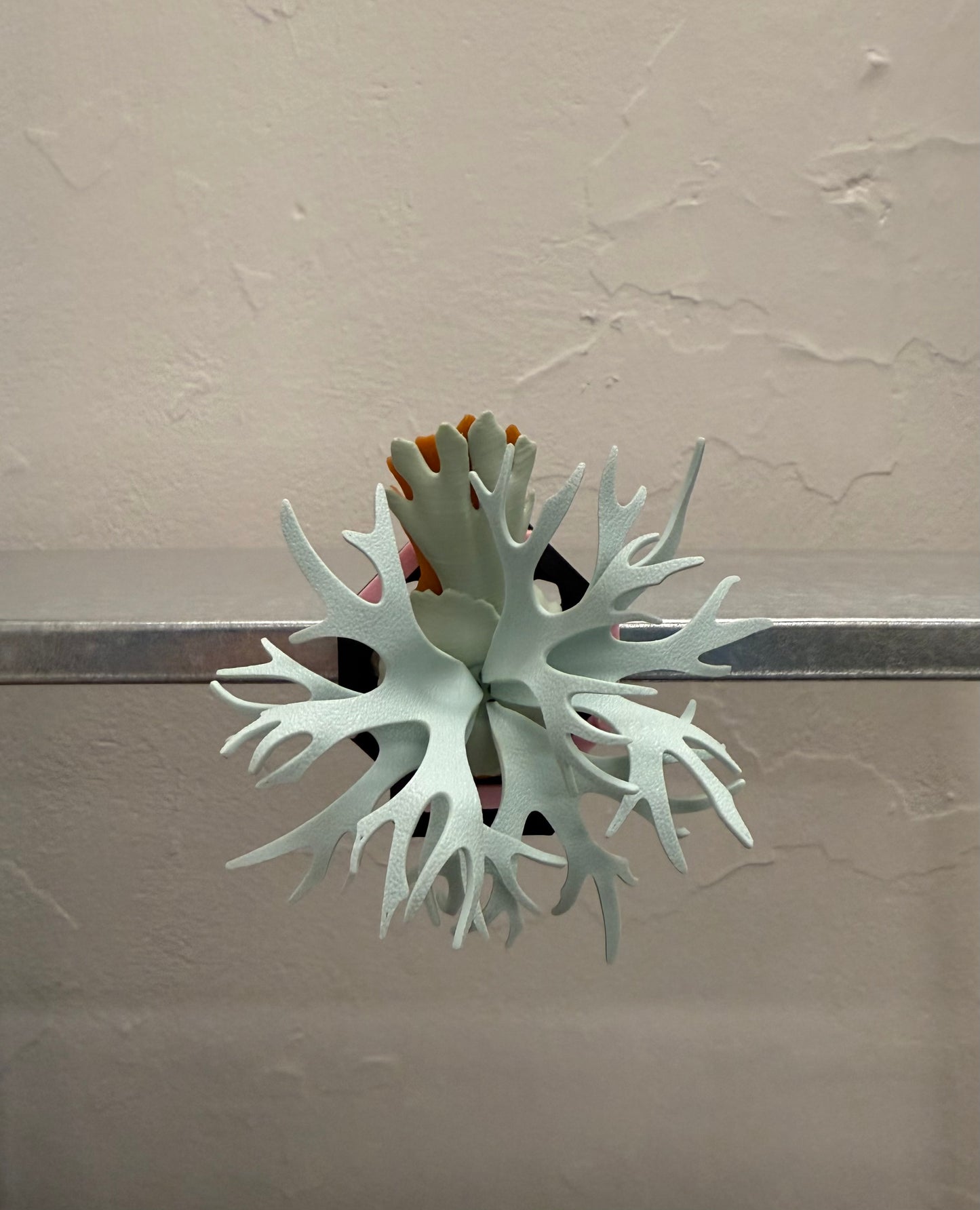 Mini Staghorn Fern Model GT04