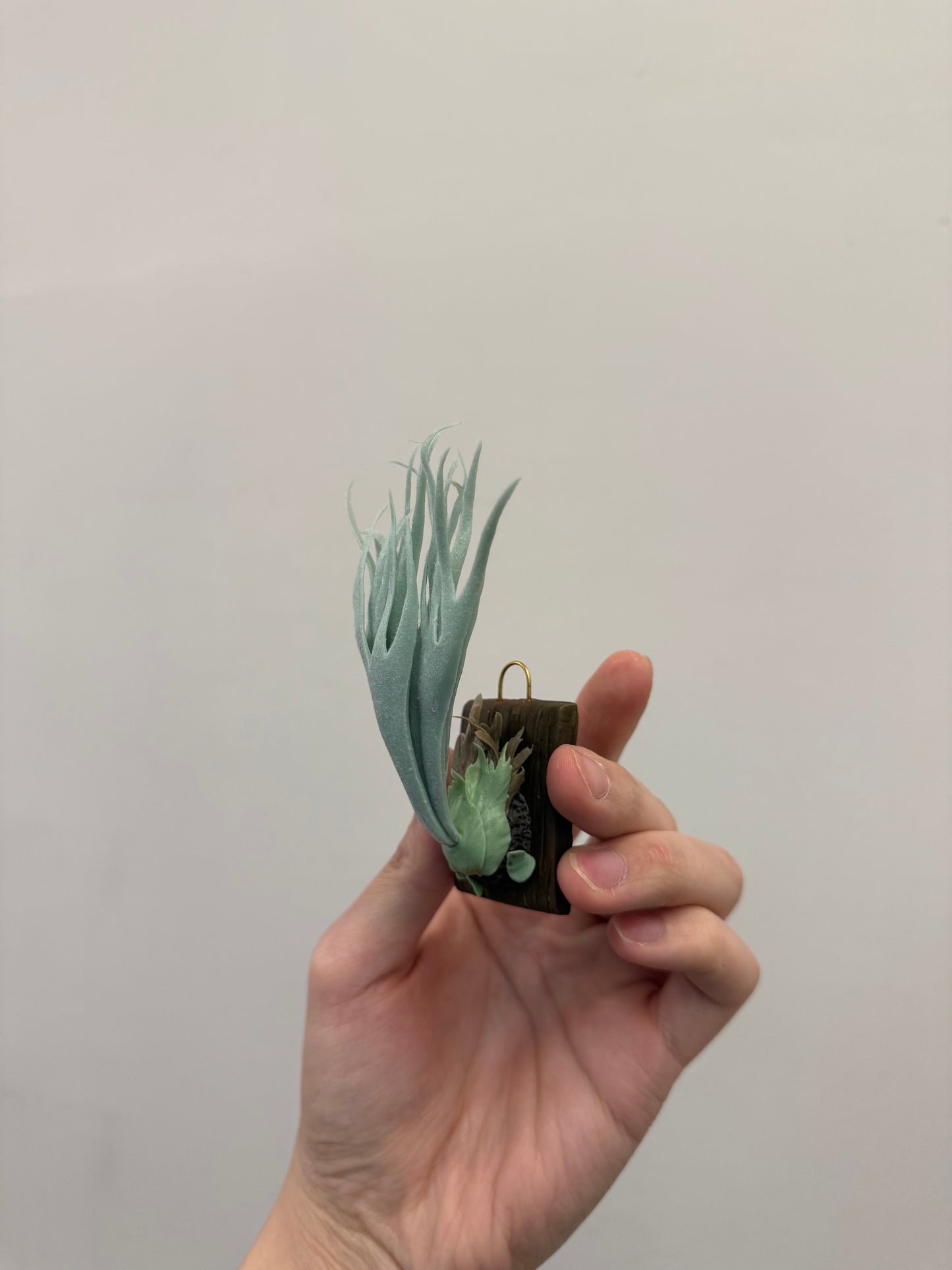 Handmade Clay Staghorn Fern Art Hanging