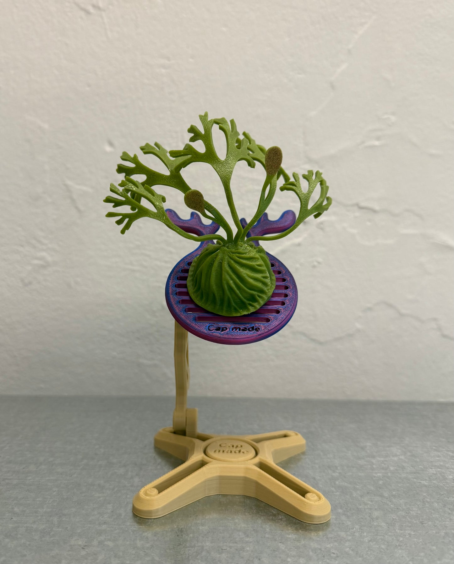 Mini Staghorn Fern Model GT01
