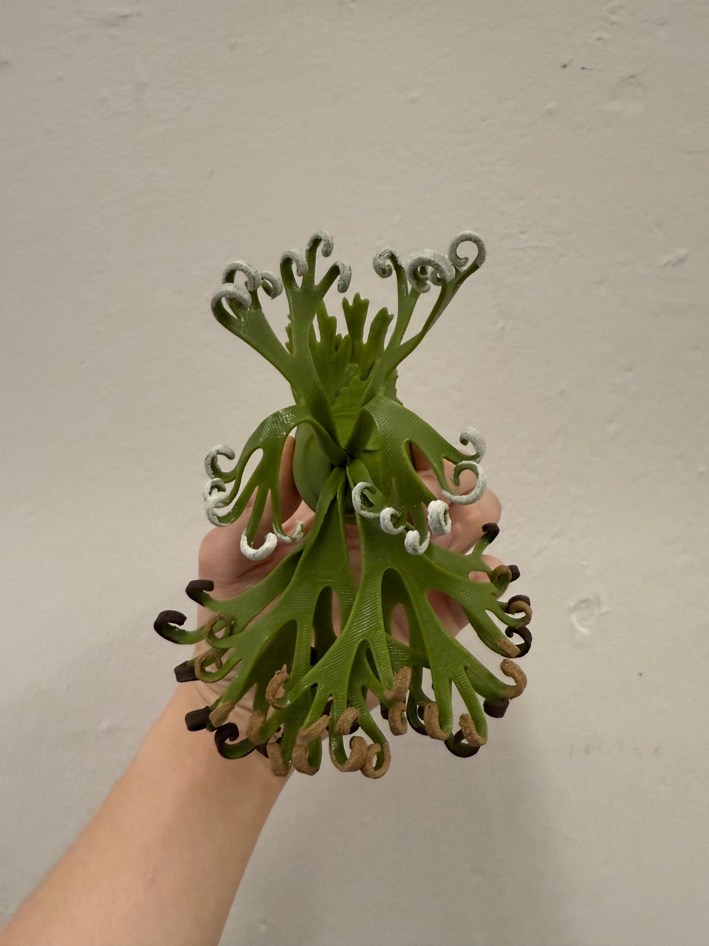 Mini Staghorn Fern Model GT03