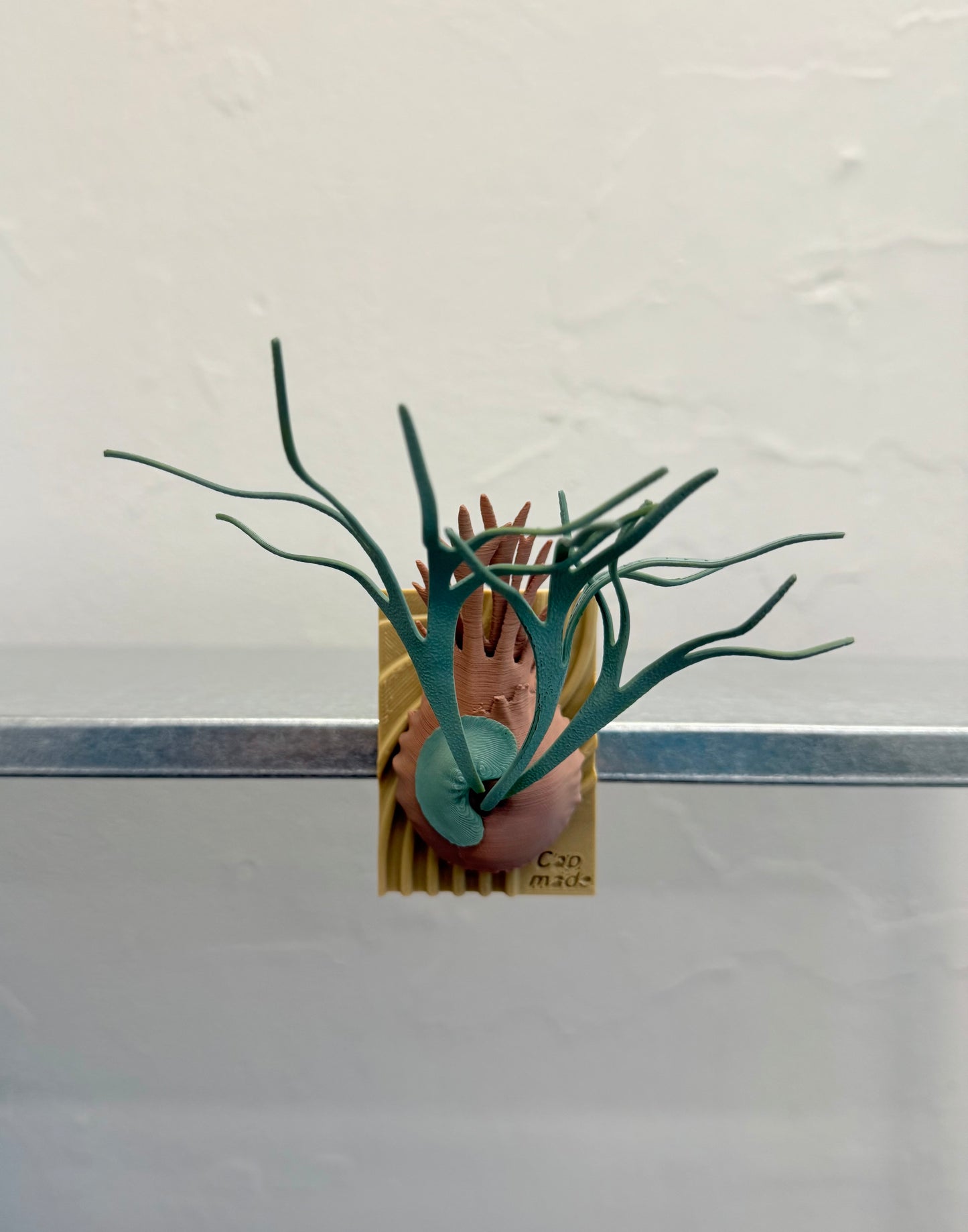 Mini Staghorn Fern Model GT02