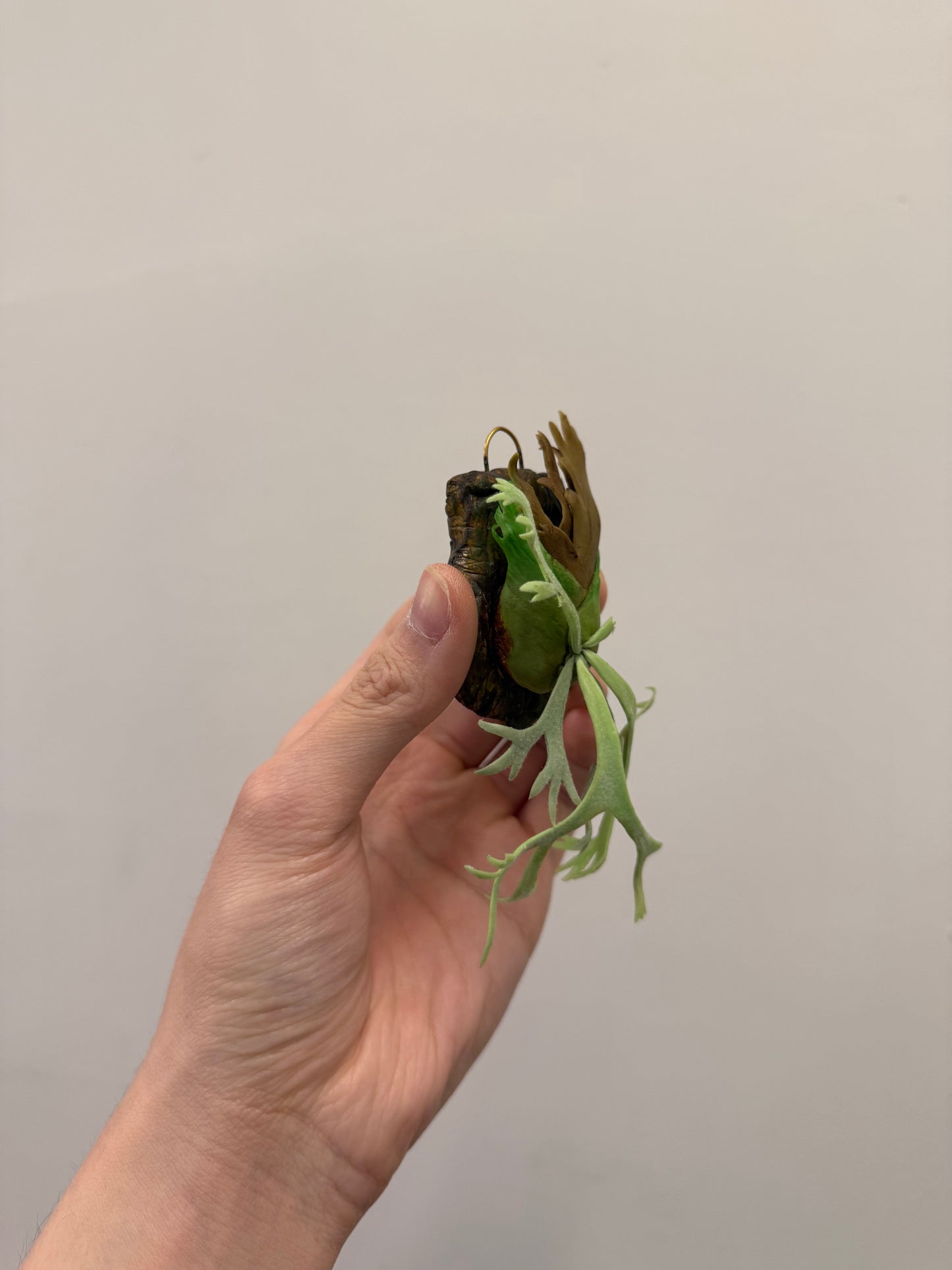Handmade Clay Staghorn Fern Art Hanging