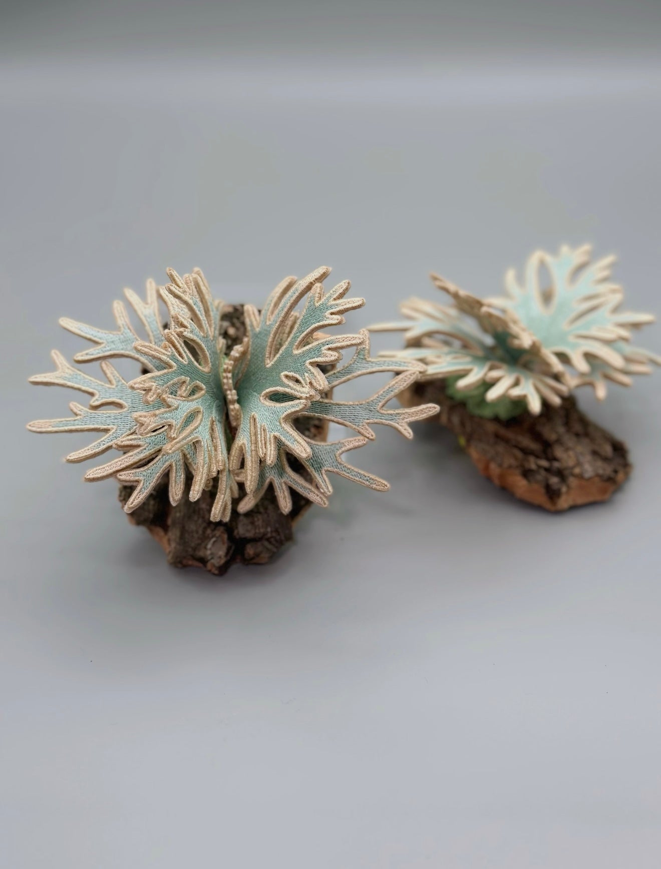 Embroidered Staghorn Fern “Bifurcatum Bacteria” Magnet Art – Real Bark Edition