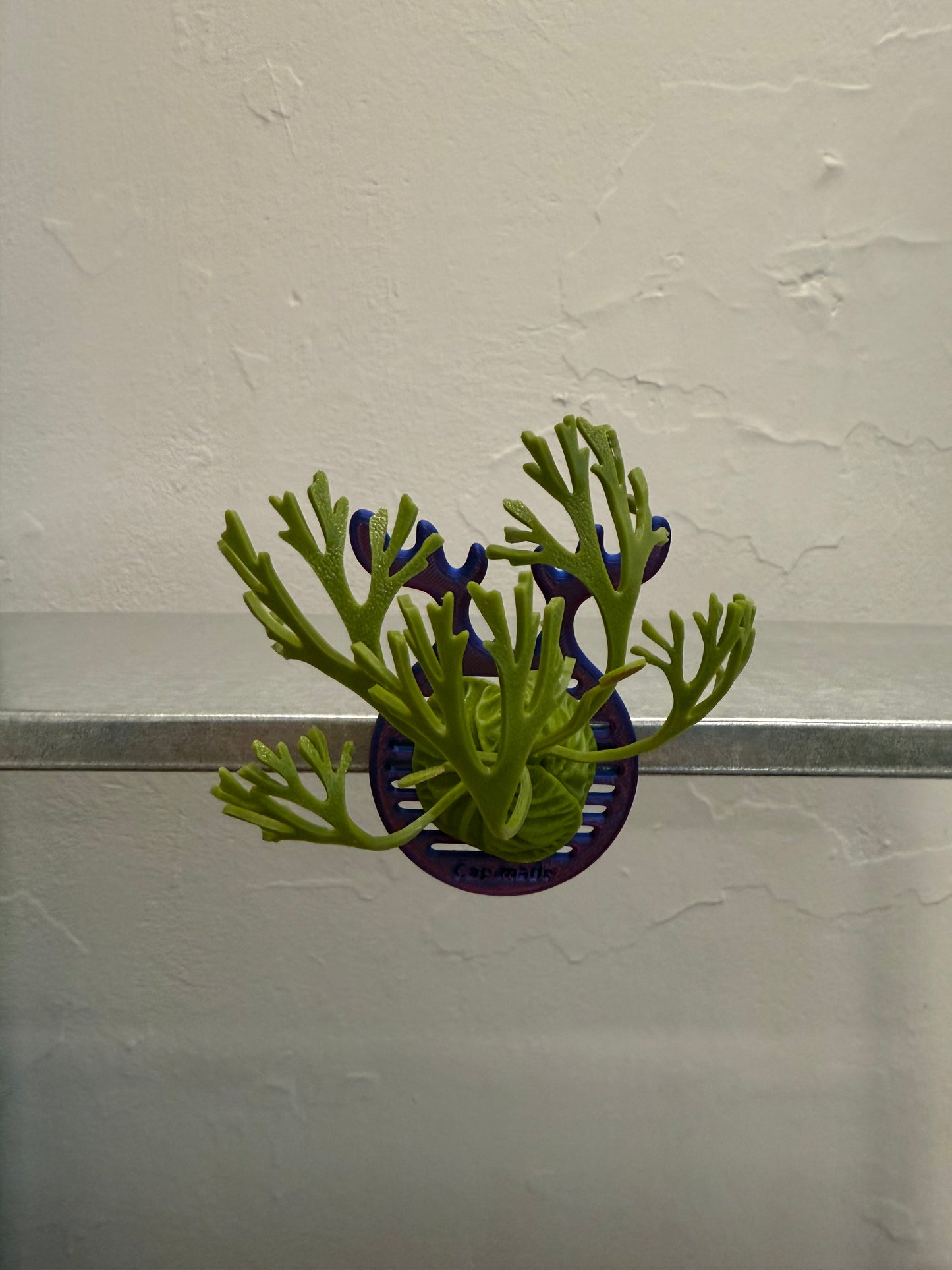 Mini Staghorn Fern Model GT01