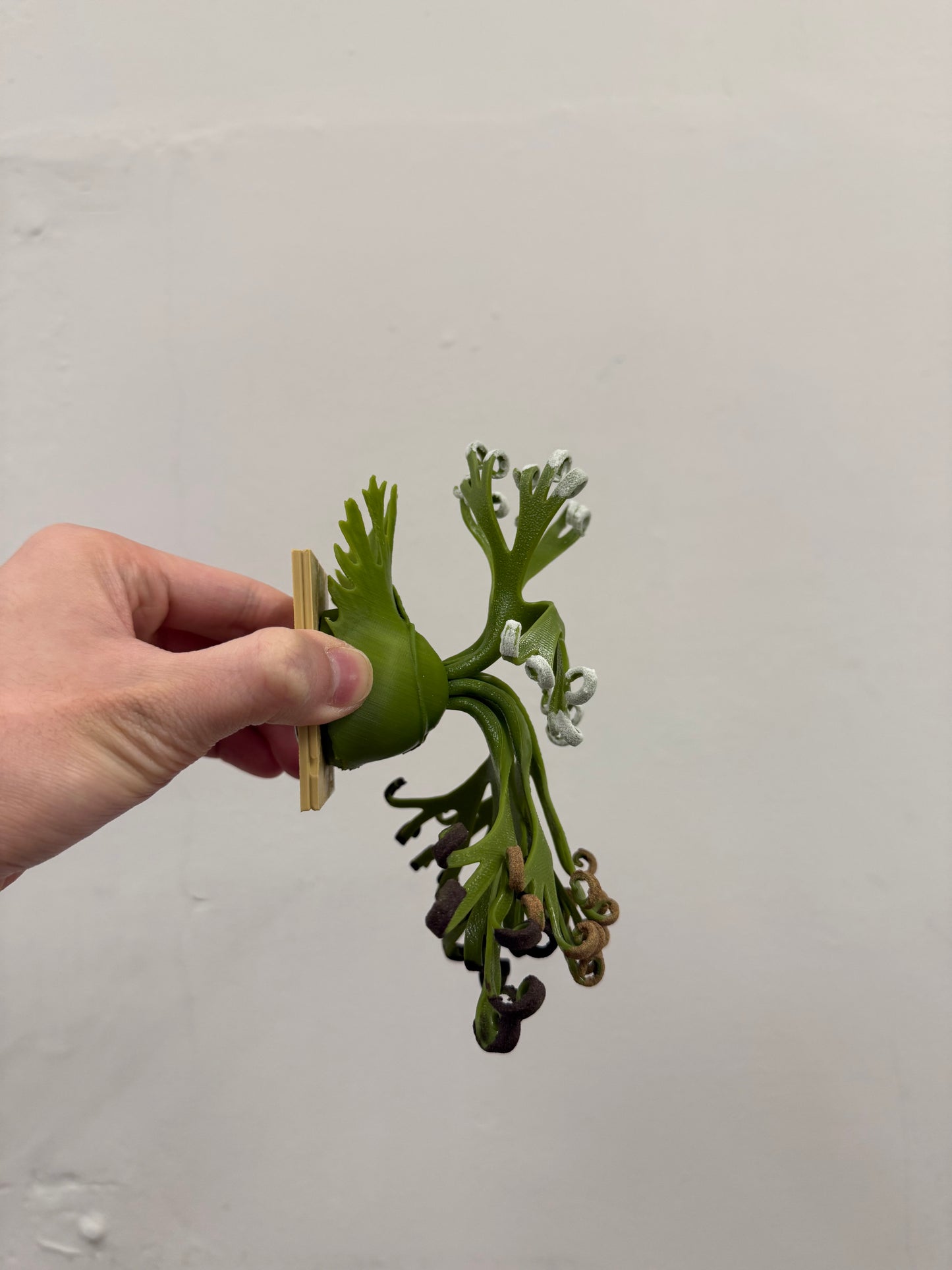 Mini Staghorn Fern Model GT03