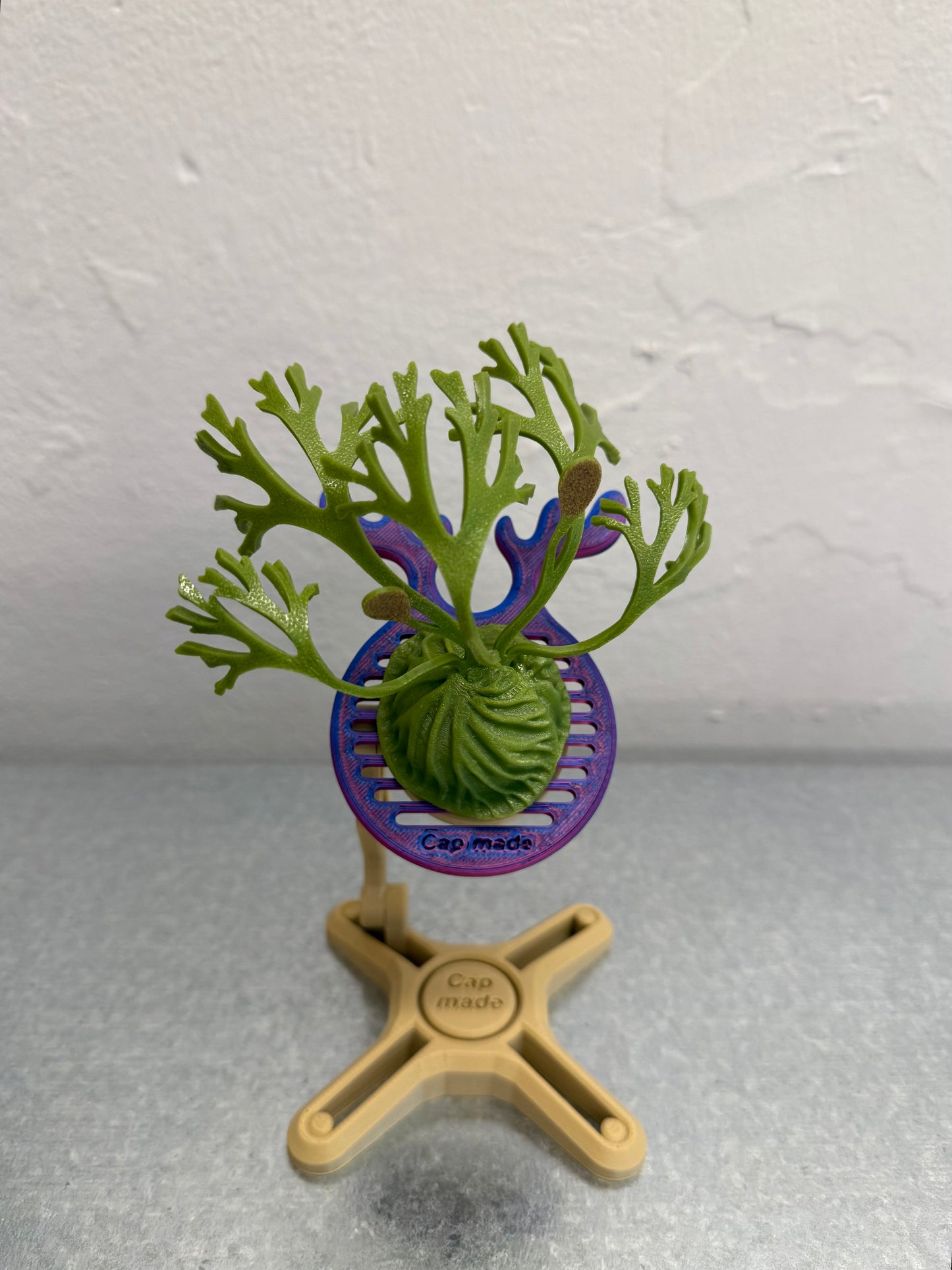 Mini Staghorn Fern Model GT01
