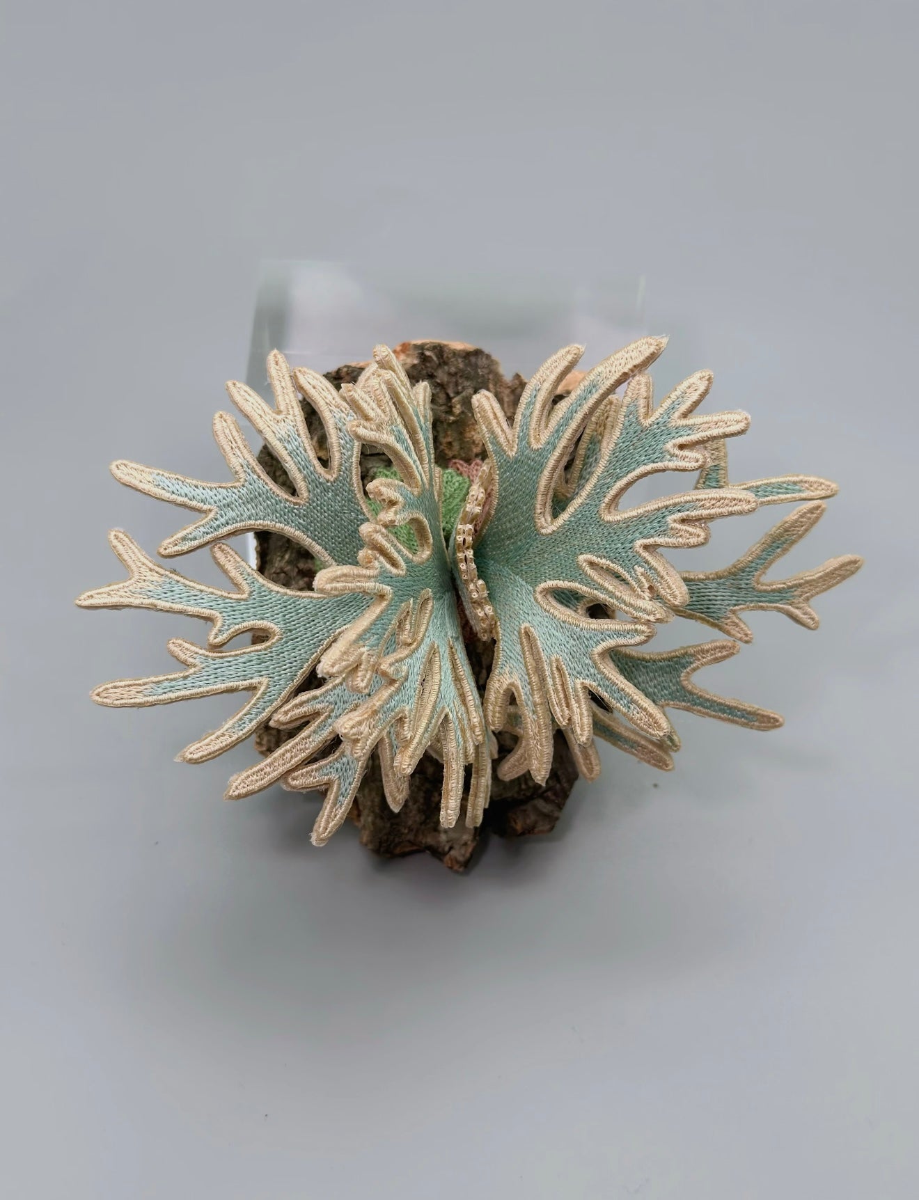 Embroidered Staghorn Fern “Bifurcatum Bacteria” Magnet Art – Real Bark Edition