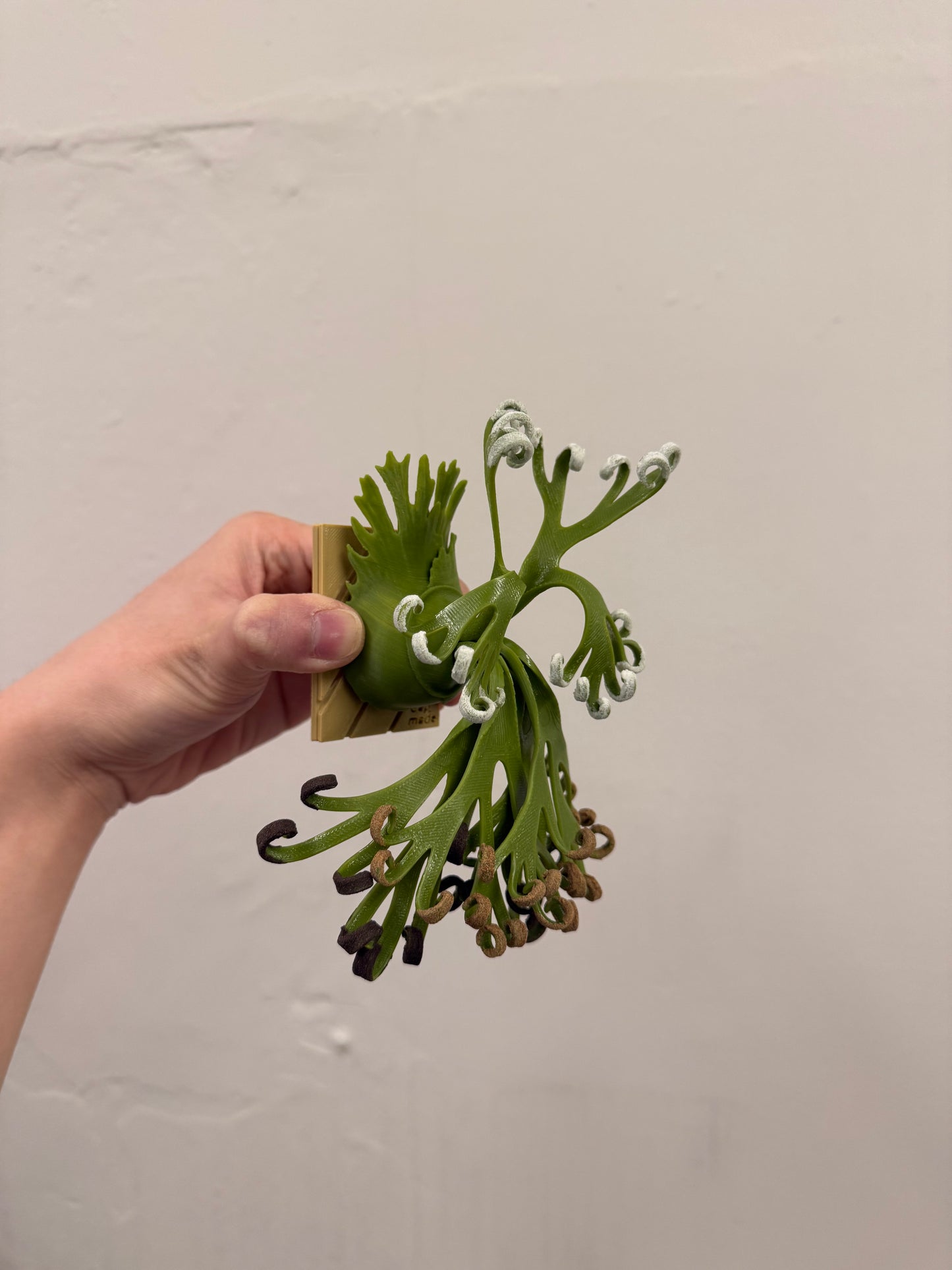 Mini Staghorn Fern Model GT03