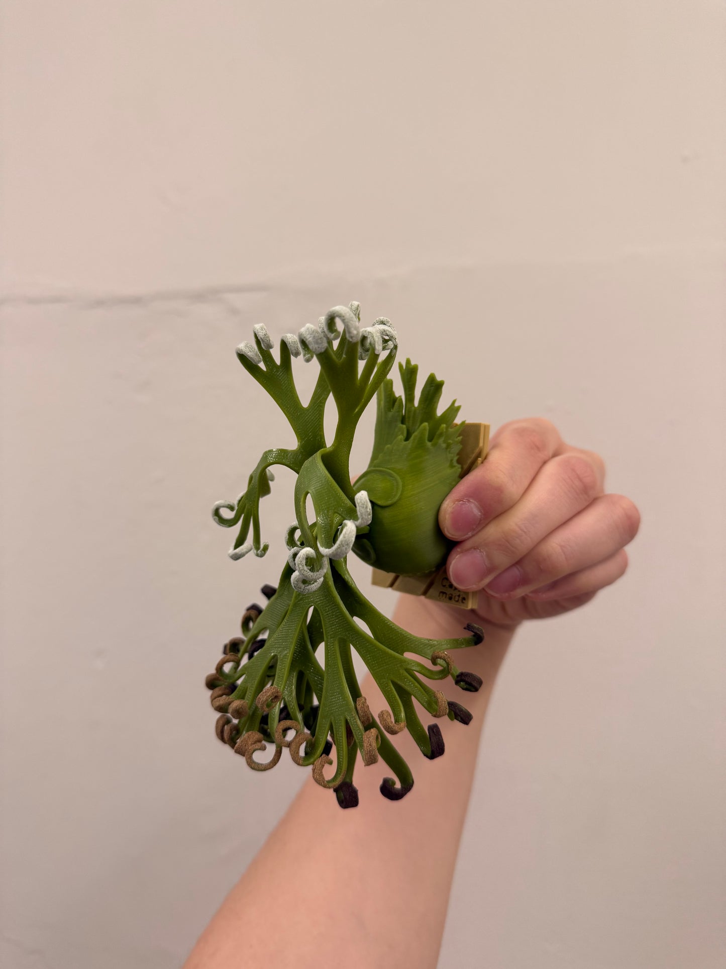 Mini Staghorn Fern Model GT03