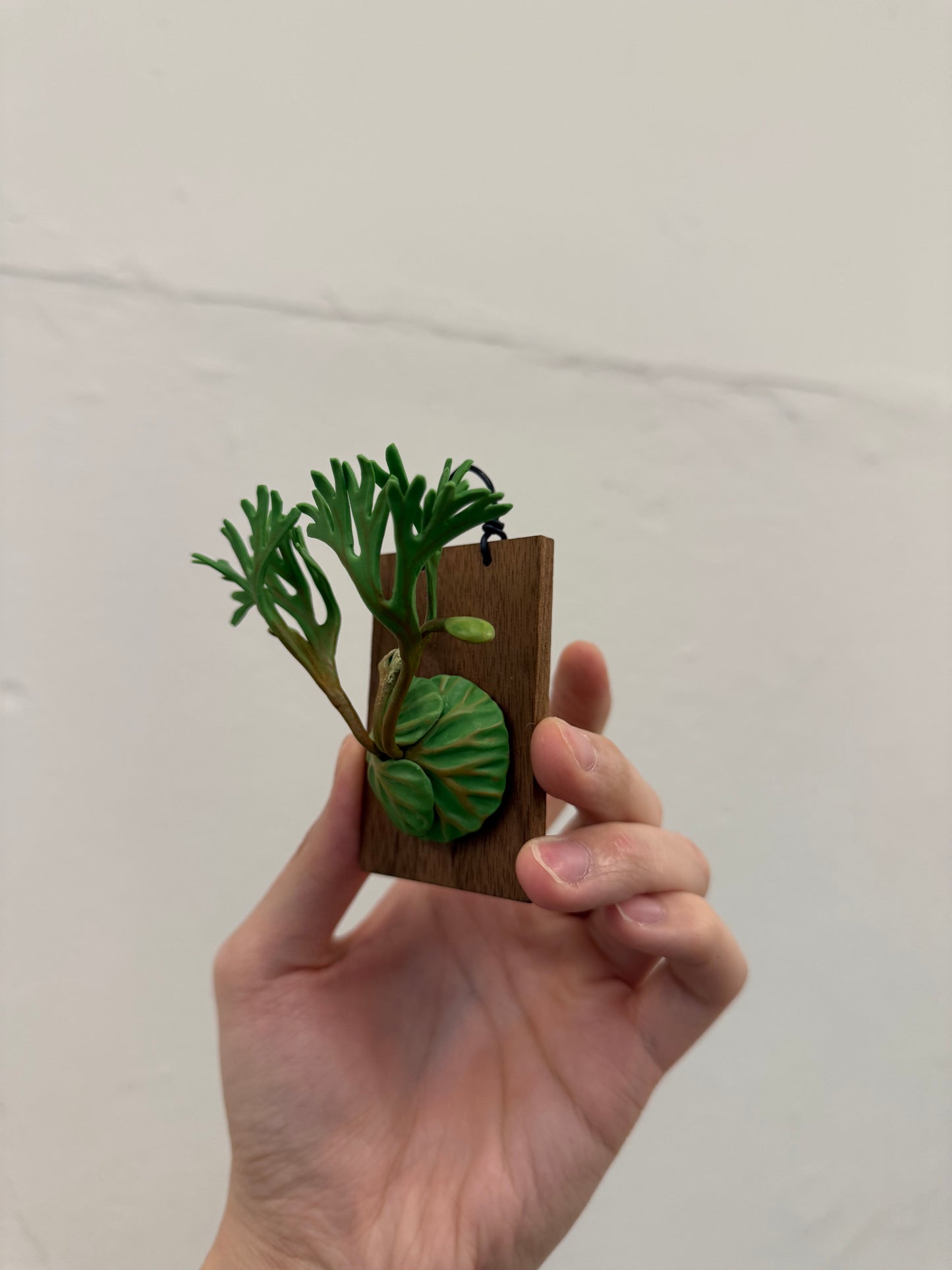 Handmade Clay Staghorn Fern Art Hanging