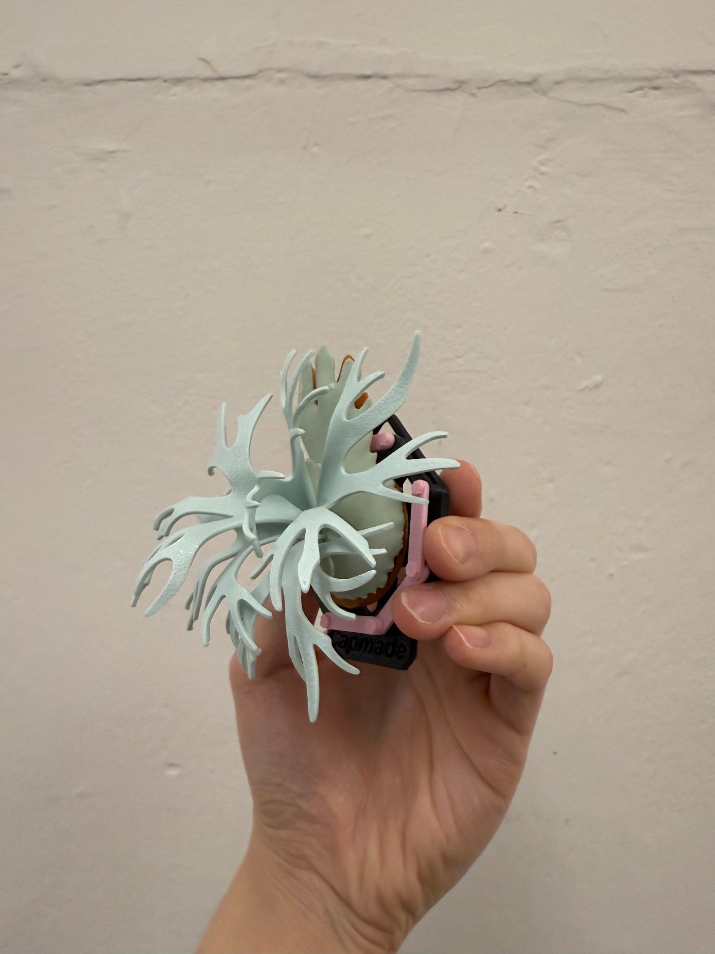 Mini Staghorn Fern Model GT04