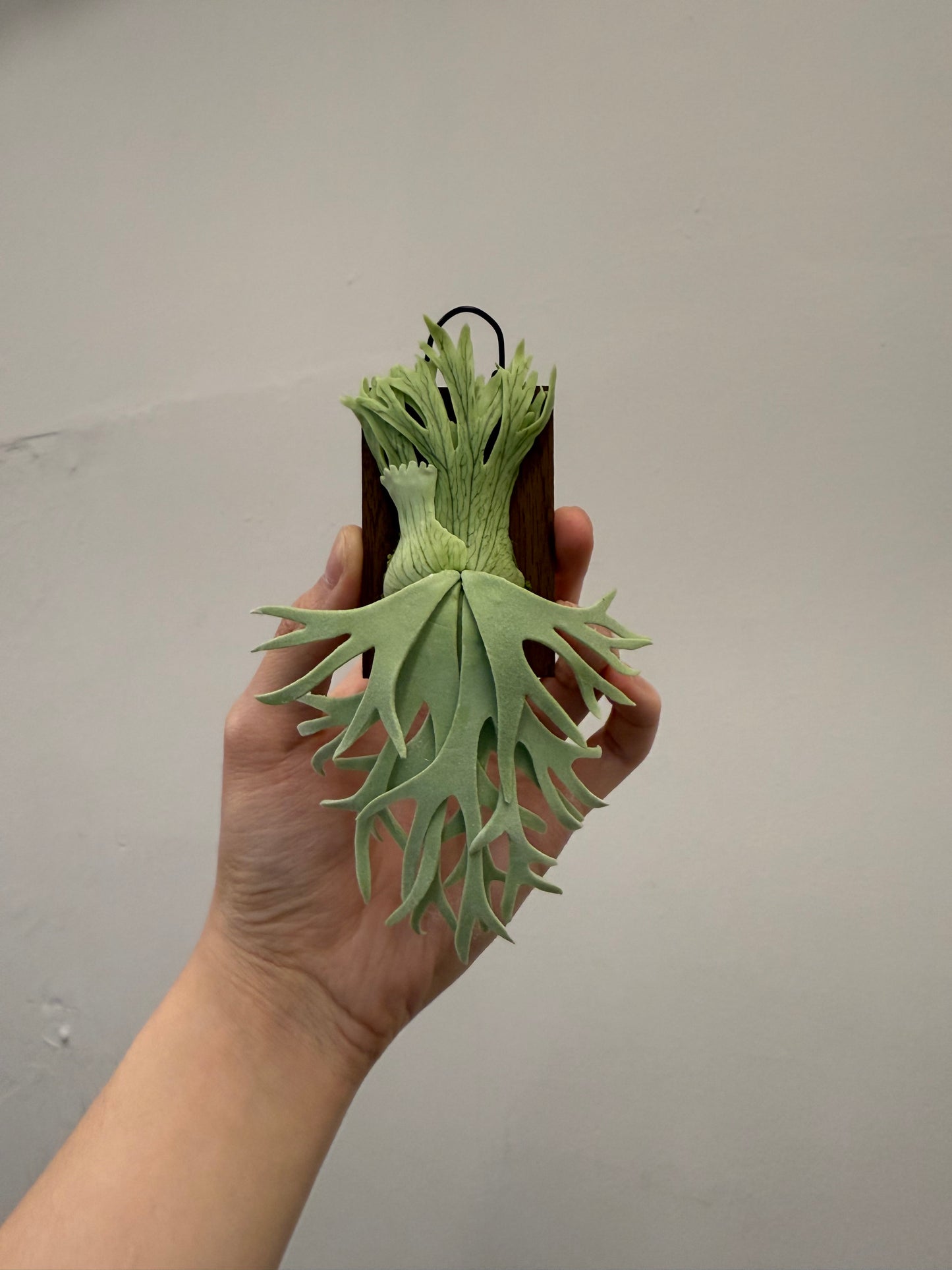 Handmade Clay Staghorn Fern Art Hanging