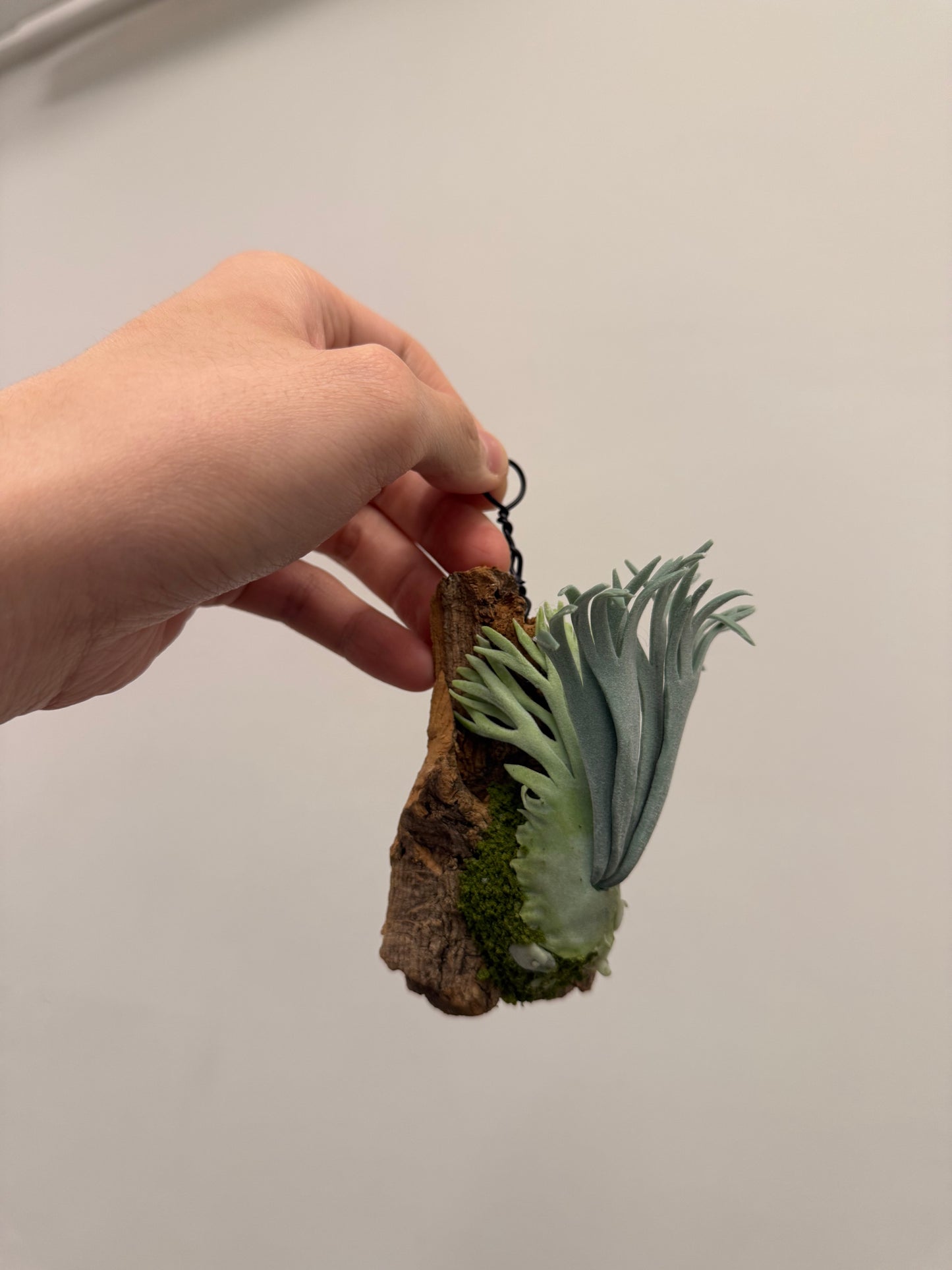 Handmade Clay Staghorn Fern Art Hanging