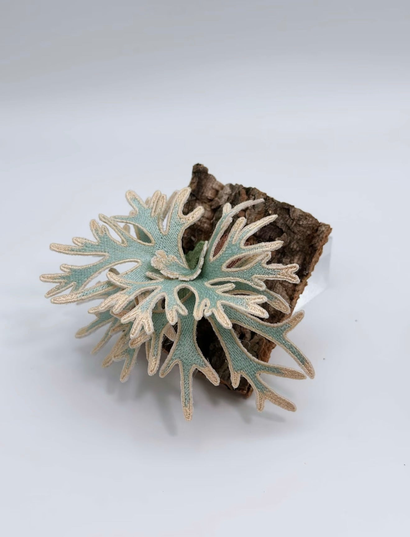 Embroidered Staghorn Fern “Bifurcatum Bacteria” Magnet Art – Real Bark Edition