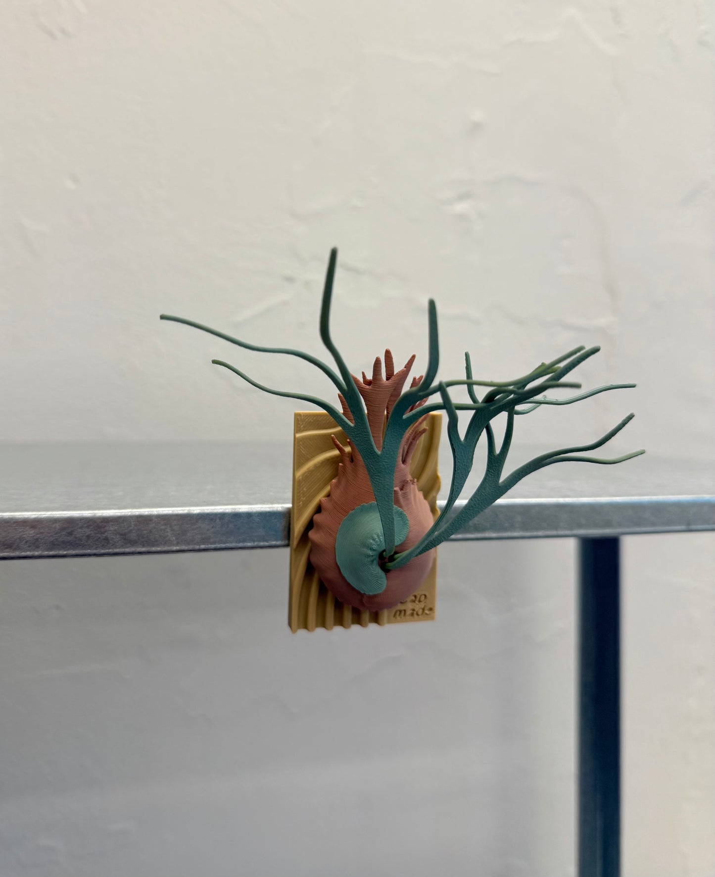Mini Staghorn Fern Model GT02