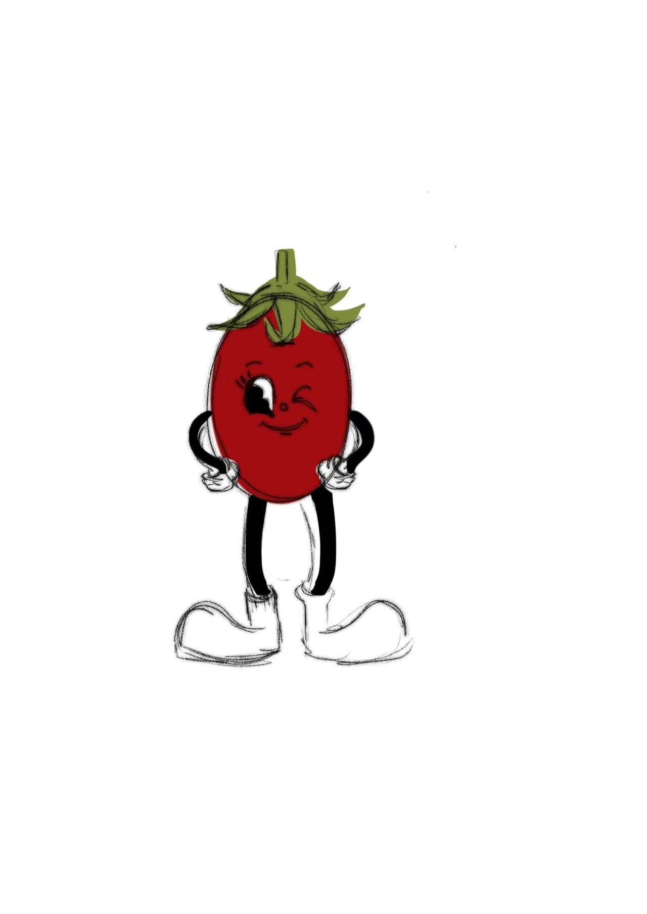 Canned Plant—Cherry Tomato