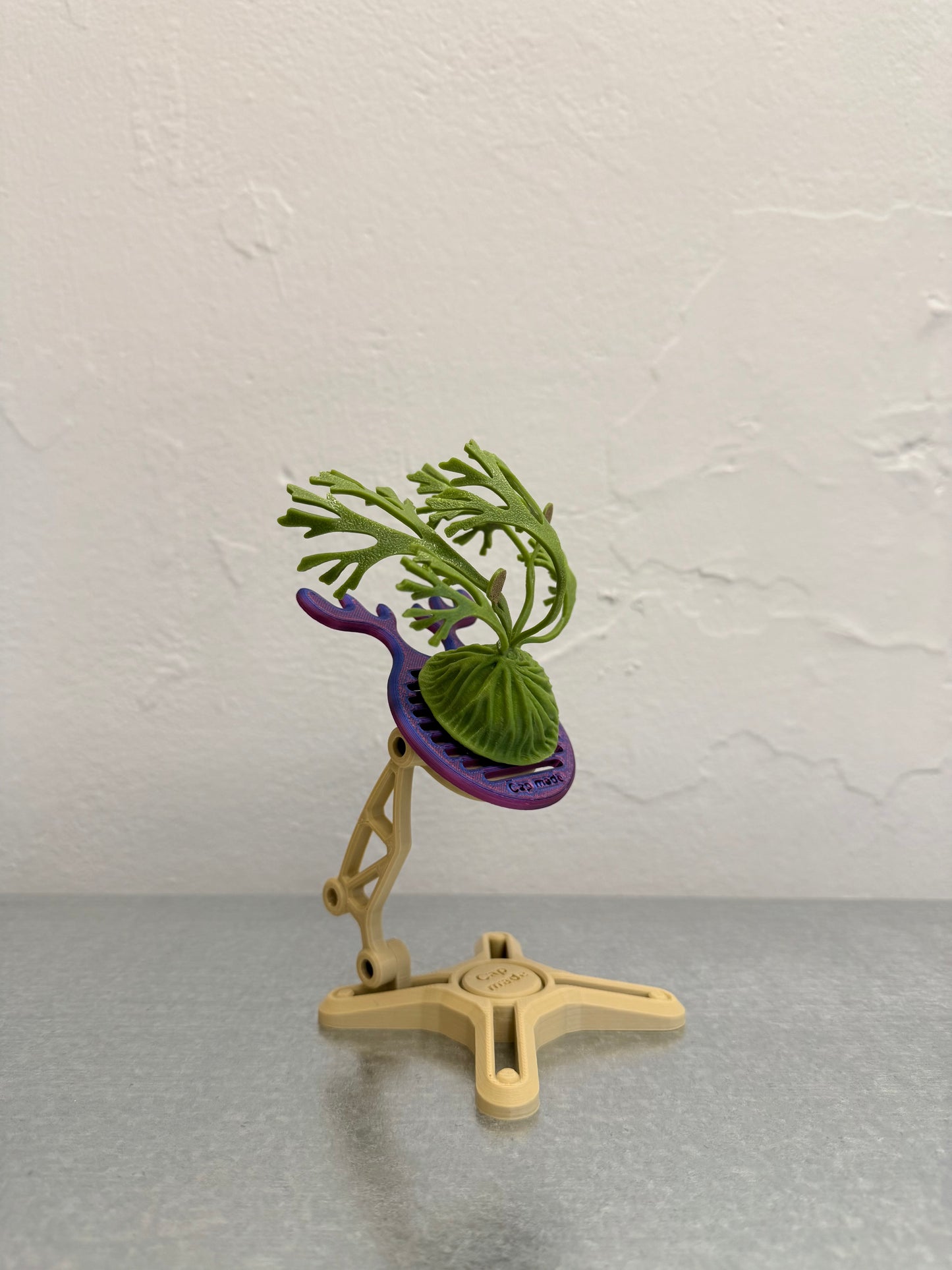 3D-printed display stand GT00