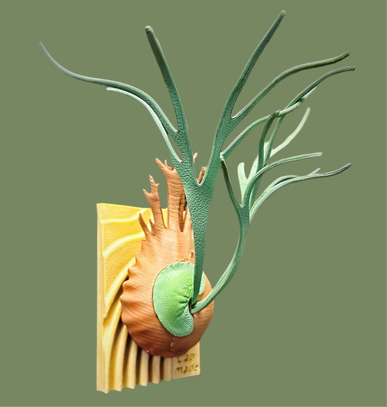 Mini Upright Silver Staghorn Fern Model