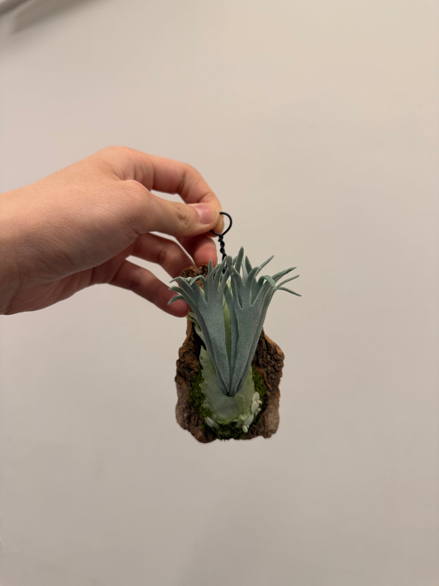 Handmade Clay Staghorn Fern Art Hanging