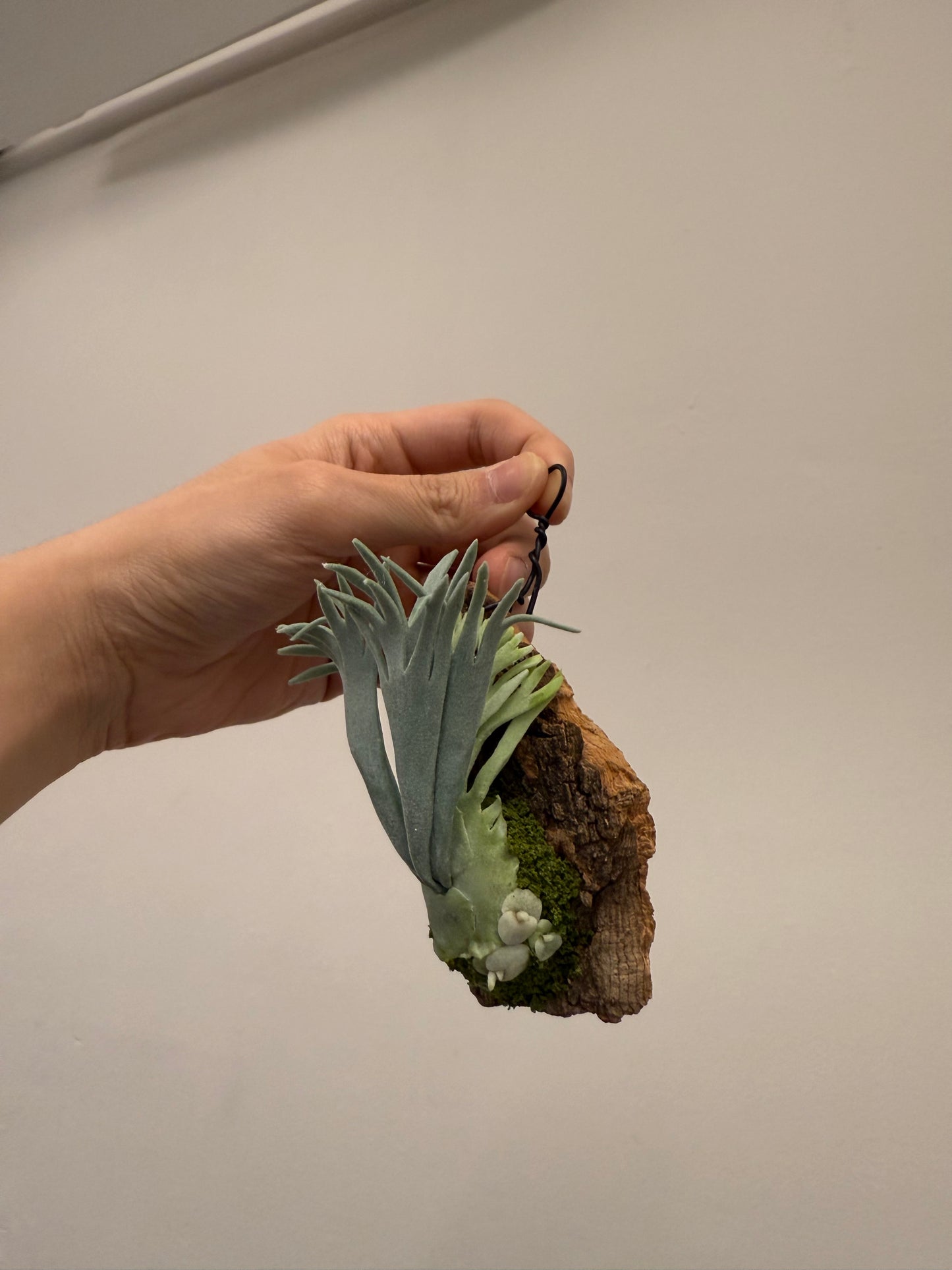 Handmade Clay Staghorn Fern Art Hanging