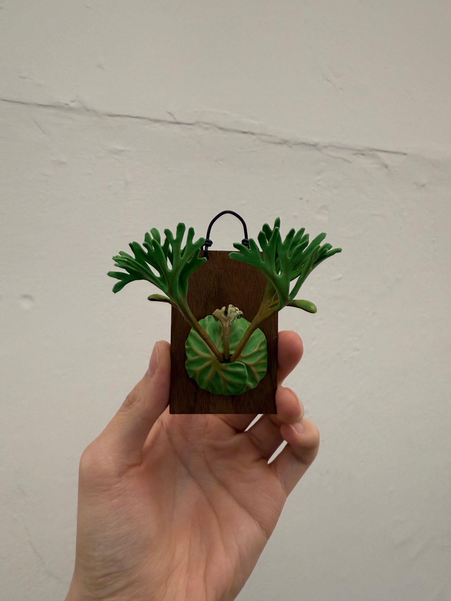 Handmade Clay Staghorn Fern Art Hanging